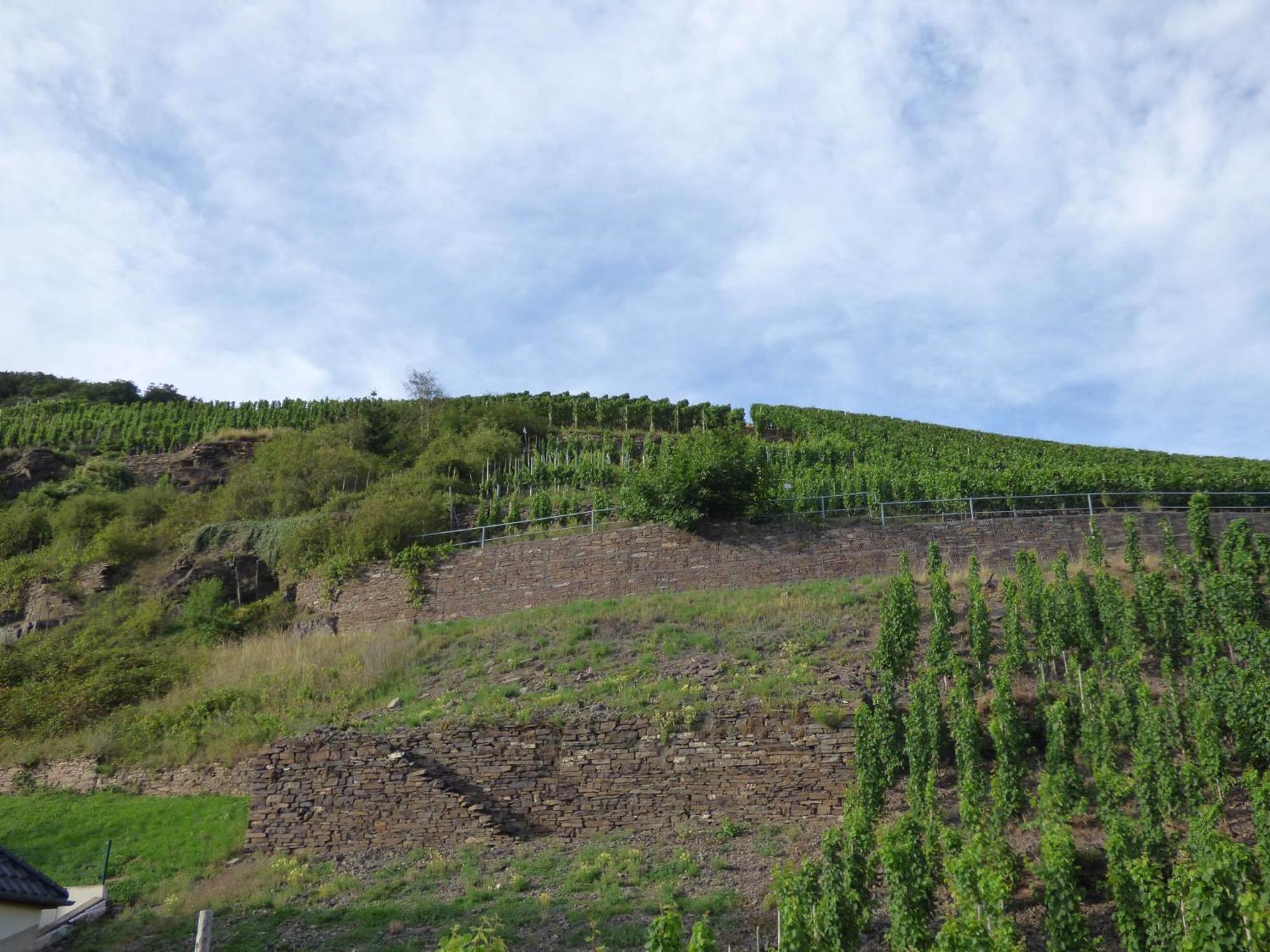 Relaxen Im Weindorf Mayschoss Fewo 4 Esterno foto